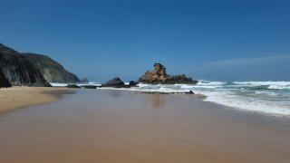 Lost in the Serenity of the Wild Coast